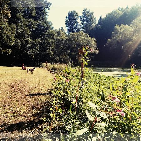 Sabine'S Wellnesslodge Ruppertsweiler 外观 照片