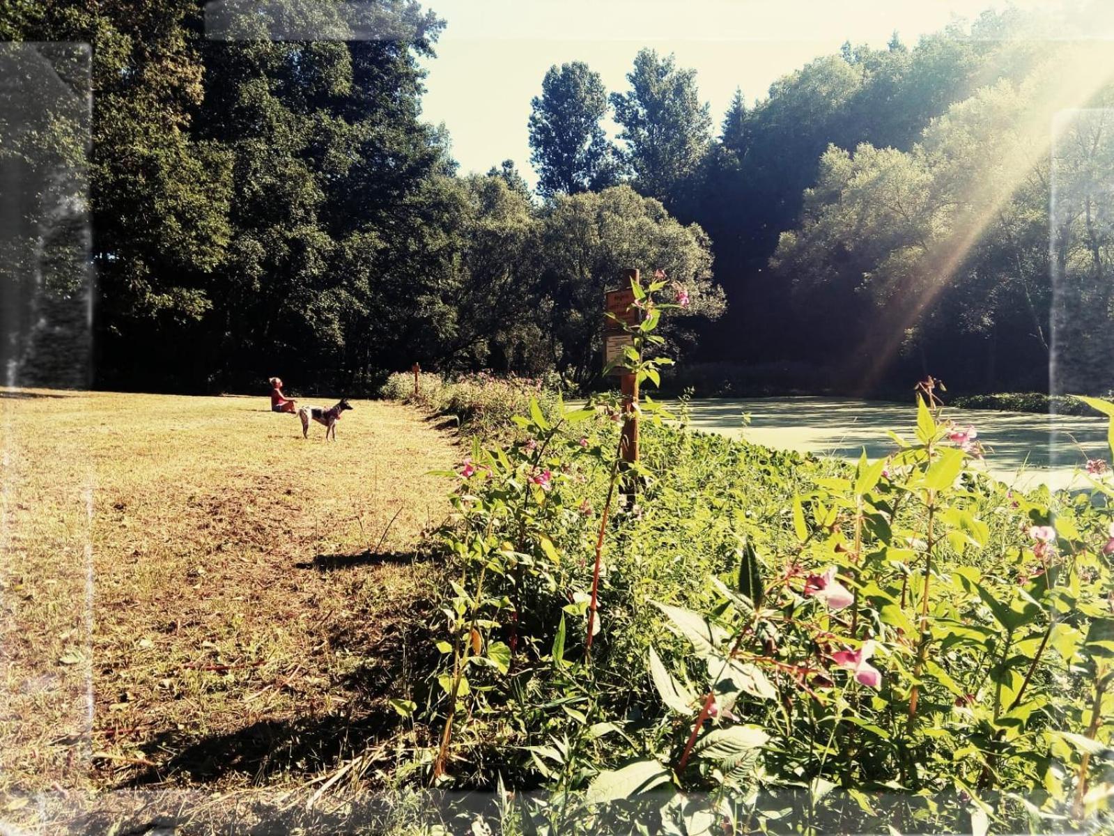 Sabine'S Wellnesslodge Ruppertsweiler 外观 照片